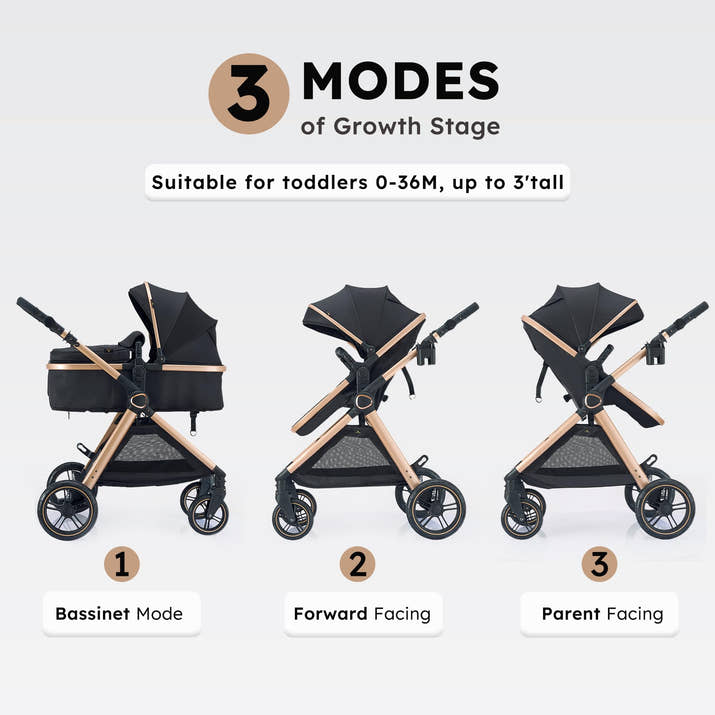 Bassinet Pushchair for Infants